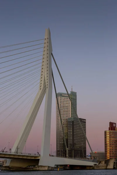 Erasmus Bridge High Rise Buildings Financial District Dutch City Background — Stock Photo, Image