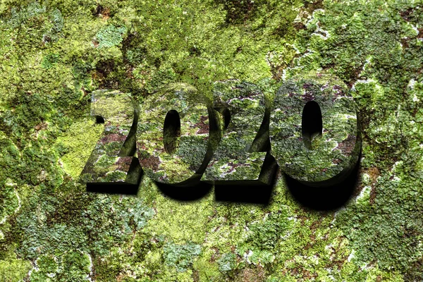 Musgo Verde Vibrante Uma Rocha Que Supera Números Salientes Que — Fotografia de Stock