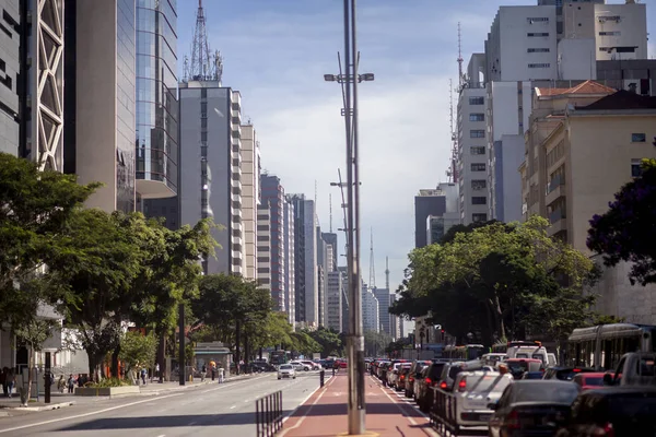 Sao Paulo Brasil Febrero 2018 Carril Bici Paulo Avenida Paulista — Foto de Stock