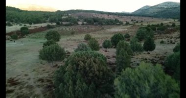 Burgos Sad Hill Mezarlığı havadan görünümü