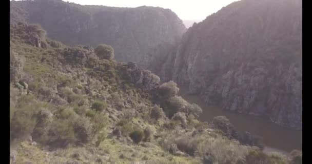 Vista aérea del Cañón del Duero en España — Vídeos de Stock