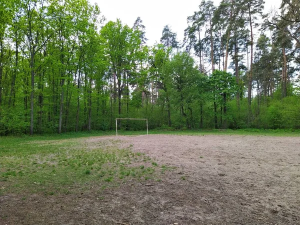 Football Field Green Spring Forest Cloudy Day — Stock Photo, Image