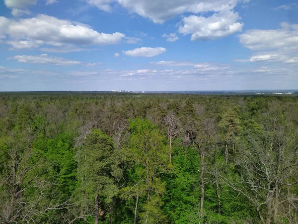 Beautiful Aerial Panoramic View Green Spring Forest Cityscape Sunny Day — Stock Photo, Image
