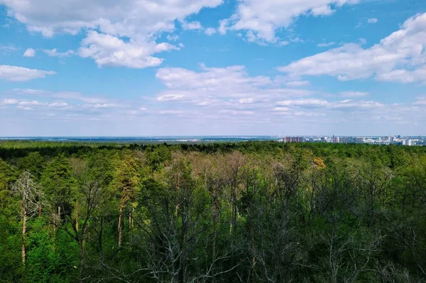 Schöne Luftaufnahme Von Grünem Frühlingswald Und Stadtbild Bei Sonnigem Tag — Stockfoto