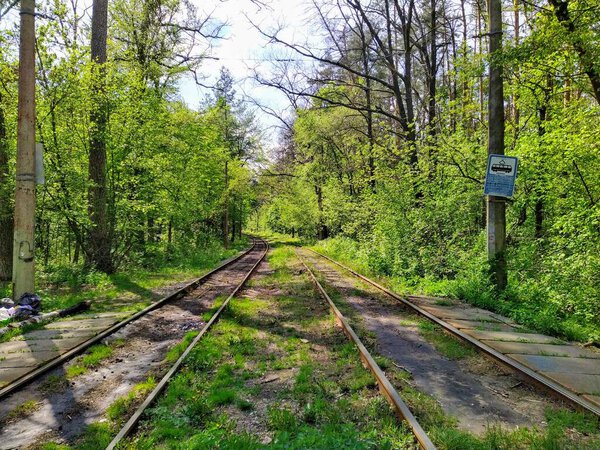Kalancha tram station in green spring forest in sunny day
