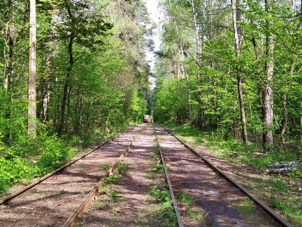 Tram Sur Les Rails Dans Forêt Verte Printemps Journée Ensoleillée — Photo