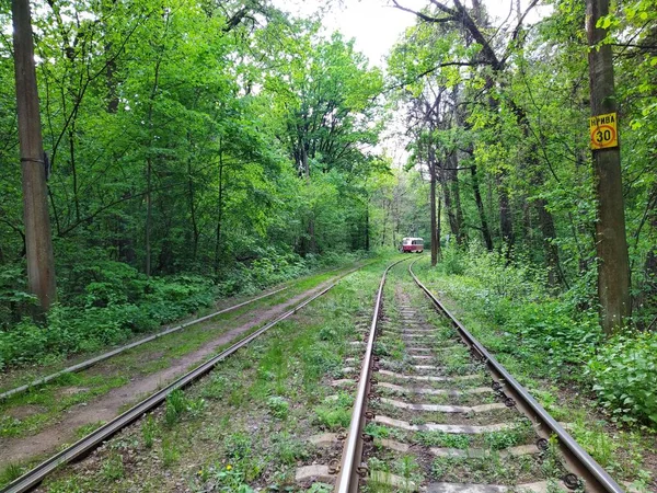 在绿色春天的森林里 有轨电车在白天行驶 — 图库照片
