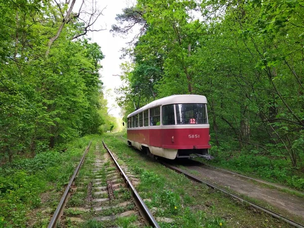 Kyjev Ukrajina Května 2020 Tramvaj Kolejích Zeleném Jarním Lese — Stock fotografie