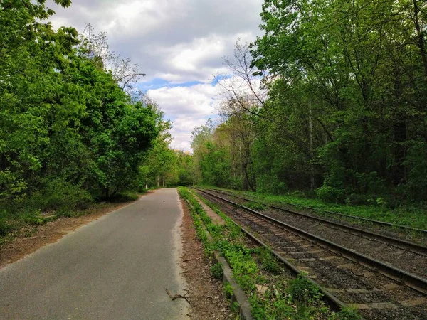 Carriles Tranvía Carretera Verde Bosque Primavera Día Soleado — Foto de Stock