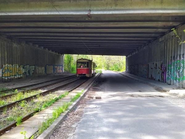 Tram Indo Trilhos Sob Ponte Perto Estrada Carro Floresta Primavera — Fotografia de Stock