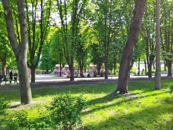 Kiev Oekraïne Mei 2020 Prachtig Groen Stadspark Zonnige Lentedag — Stockfoto
