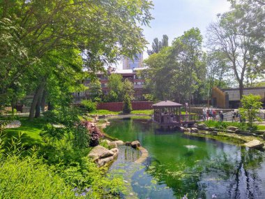 07 Haziran 2020 - Kyiv, Ukrayna: Şehir hayvanat bahçesinde gölet ve çardağı olan güzel bahçe, Kyiv, Ukrayna