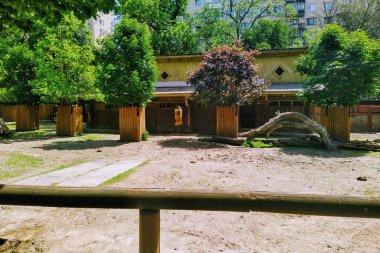 Şehir hayvanat bahçesindeki boş kuşhane, Kyiv, Ukrayna