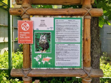 Kyiv, Ukrayna 'daki ahşap bilgi panosunda kartal baykuşunun bilgileri