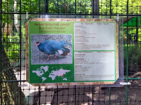 乌克兰基辅市动物园信息板上的蓝耳野鸡信息 — 图库照片