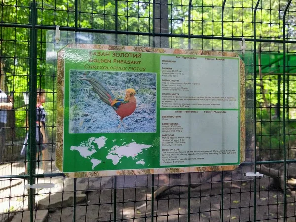 Červen 2020 Kyjev Ukrajina Informace Zlatém Bažantovi Informační Tabuli Zoologické — Stock fotografie