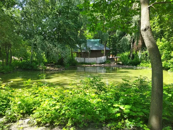 Beautiful garden with pond and wooden house in city zoo, Kyiv, Ukraine