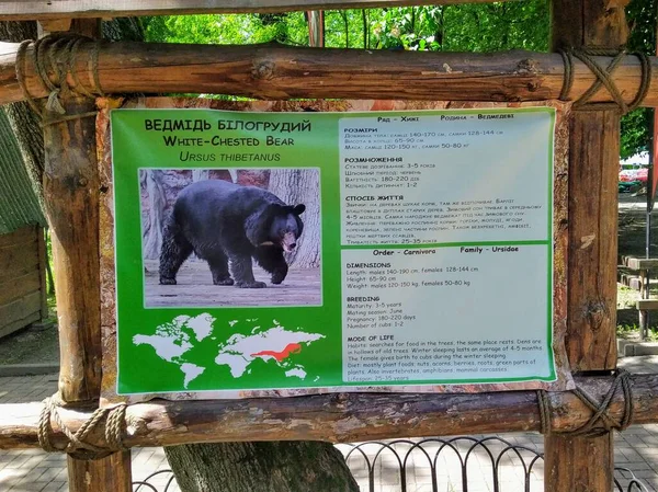 Information White Chested Bear Wooden Info Board City Zoo Kyiv — Stock Photo, Image