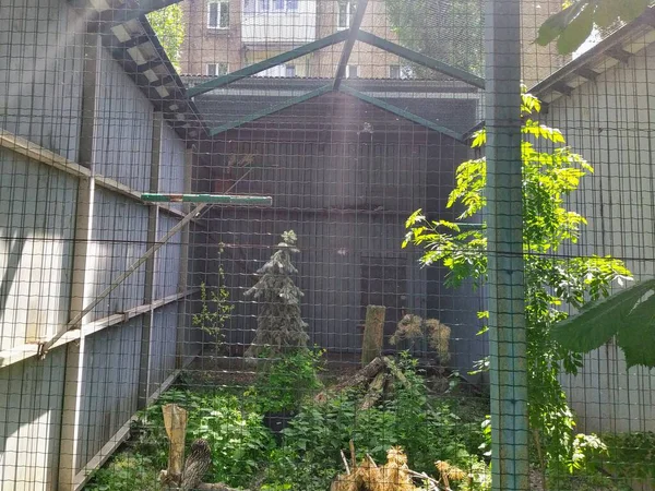 Aviary Con Gufi Murali Nello Zoo Della Città Kiev Ucraina — Foto Stock