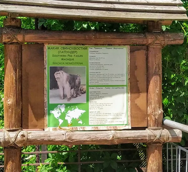 Information Southern Pig Tailed Macaque Wooden Info Board City Zoo — Stock Photo, Image