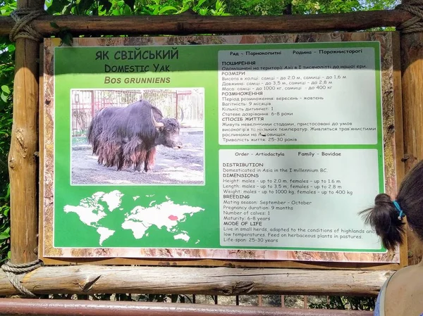 Informace Domácích Jakech Dřevěné Informační Tabuli Městské Zoologické Zahradě Kyjev — Stock fotografie