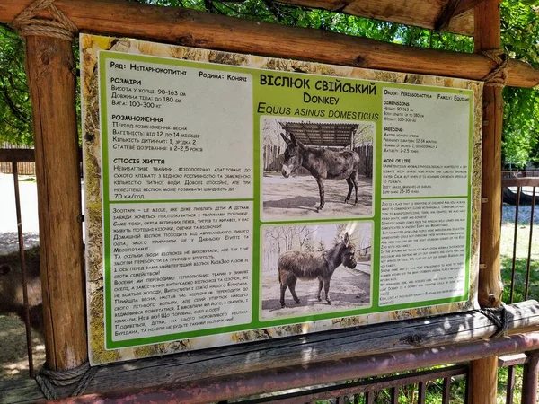 Informace Oslu Dřevěné Informační Tabuli Městské Zoologické Zahradě Kyjev Ukrajina — Stock fotografie