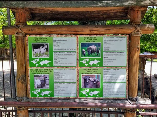 Informace Kozách Ovcích Dřevěné Informační Tabuli Městské Zoologické Zahradě Kyjev — Stock fotografie