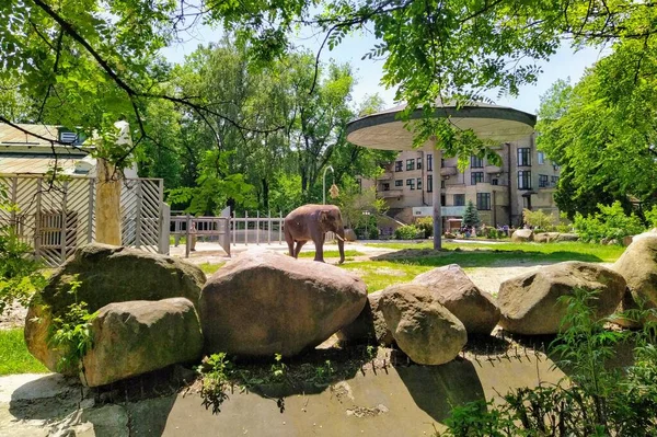 Aviario Con Elefante Asiático Zoológico Ciudad Kiev Ucrania —  Fotos de Stock