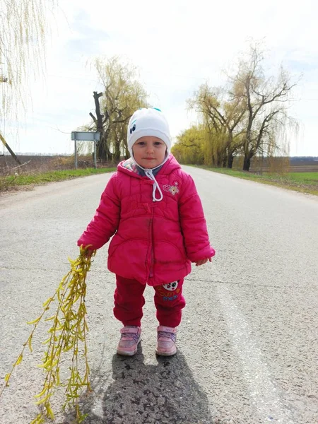 Little Girl Stand Asphalt Road Hold Branches Tree Plant Sunny — Stock Photo, Image