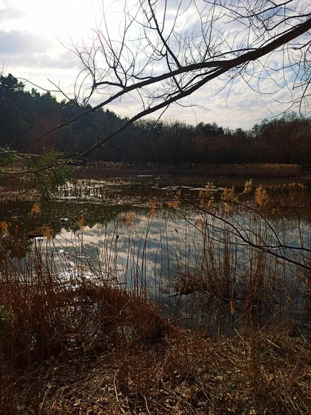 Lac Dans Campagne Rurale Printemps Pendant Journée — Photo