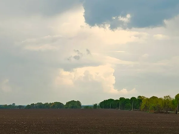 Uitzicht Het Landbouwveld Het Platteland Het Voorjaar Overdag — Stockfoto
