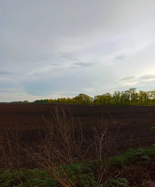 Uitzicht Het Landbouwveld Het Platteland Het Voorjaar Overdag — Stockfoto