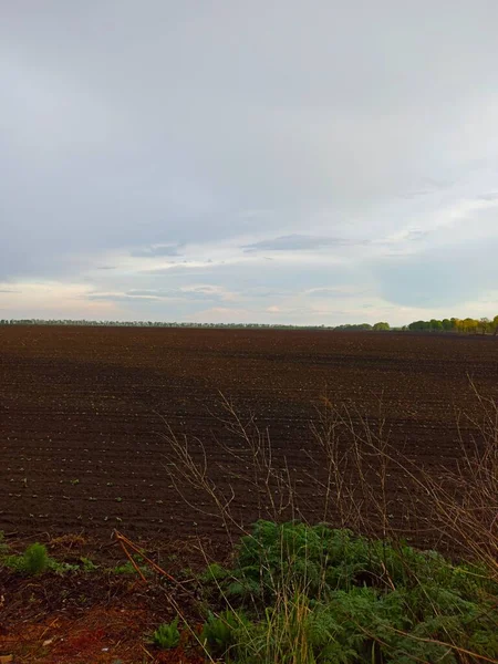 Uitzicht Het Landbouwveld Het Platteland Het Voorjaar Overdag — Stockfoto