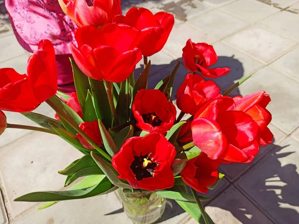 Close Beautiful Poppy Flowers Pot Tile Yard — Stock Photo, Image