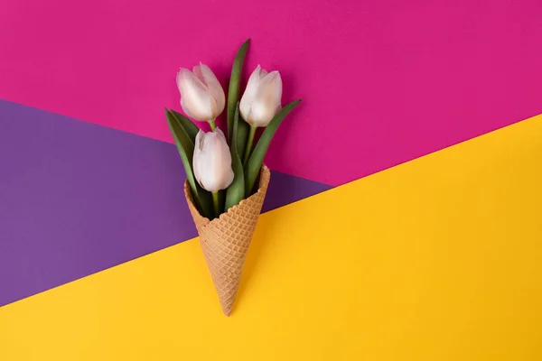Tulipas brancas em cone de waffle em fundo multicolorido. Conceito de cartão de saudação . — Fotografia de Stock