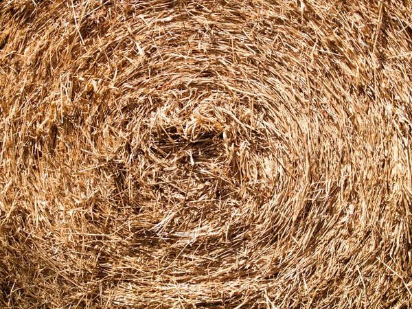 Texture of hay dry leaves that is circle use for backgrounds images