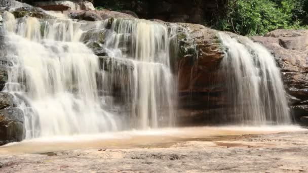 Waldwasserfall Floss Reihe Von Felsen Auf Dem Boden Stein Mit — Stockvideo