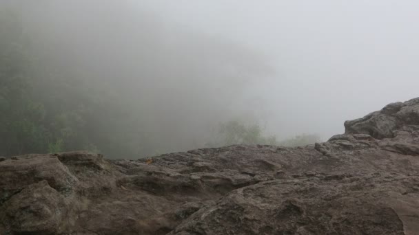 Acantilado Balanceándose Con Niebla Lluviosa Soplando Bosque Árboles Velocidad Niebla — Vídeo de stock