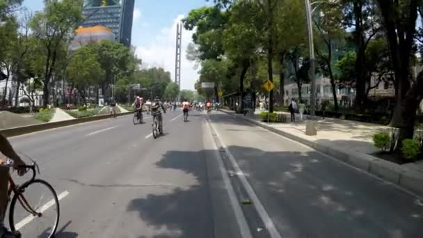 Mexico City Mexiko Juni 2019 Söndag Resa Mexico City Varje — Stockvideo