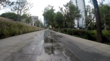 Mexico City, Meksika-Haziran 2019: Mixcoac lineer park kaynaklarının Turu, Mexico City'de en önemli caddelerde birçok park oluşturuldu.