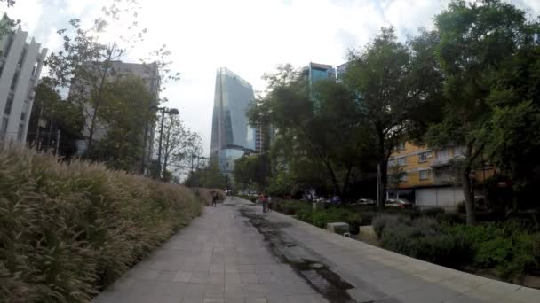 Мехико Мексика Июнь 2019 Линейный Парк Mixcoac Расположен Проспекте Рио — стоковое видео