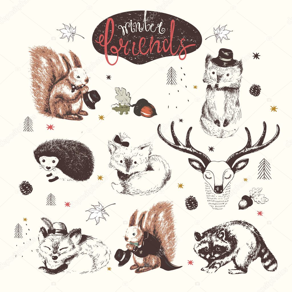Cute Animal drawings set. vector hand drawn sketches.squirrel; raccoon; hedgehog; foxes; deer;