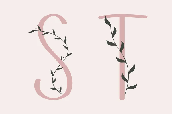 Damen Und Buchstaben Set Aus Rosa Alphabet Mit Floralen Elementen — Stockvektor