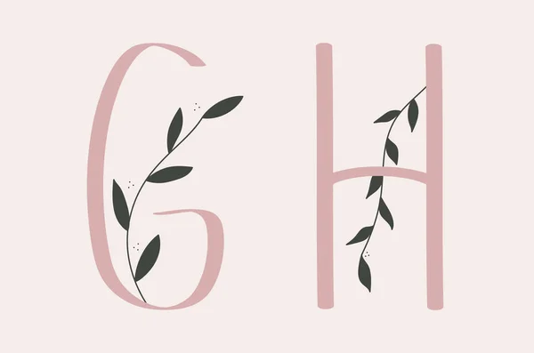 字母集的粉红色字母表与花卉元素 — 图库矢量图片
