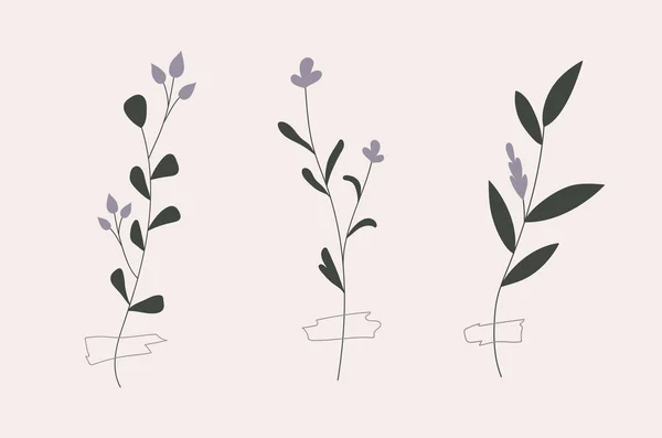 Set Van Drie Twijgen Met Paarse Bloemen Vastgemaakt Met Een — Stockvector