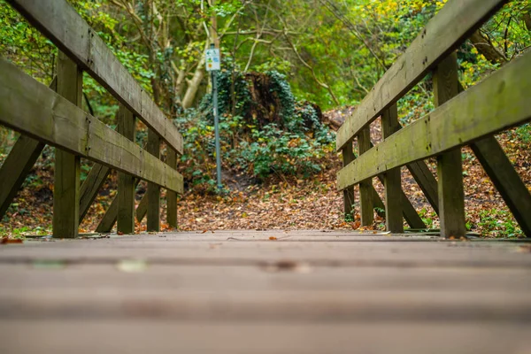 Path Small Forest Village Hude — Stock Photo, Image