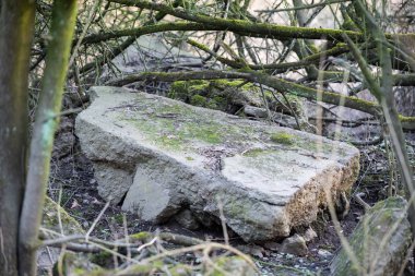 Odaklanmış motifler doğada bir yürüyüş sırasında bulunabilir