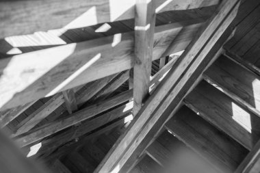 Doğal bir ormanda yüksek irtifa