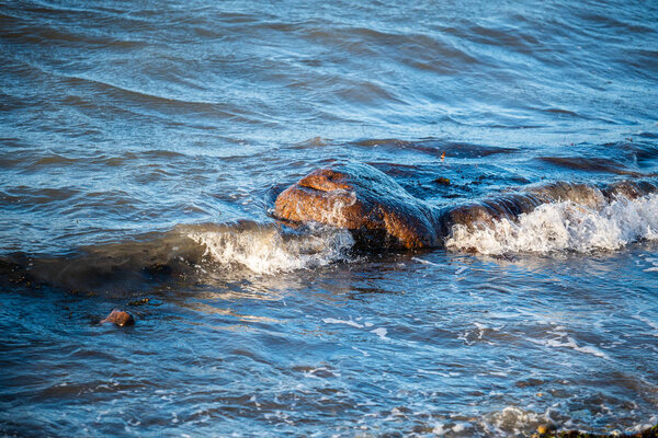 Природный парк Ginger Birk на севере Германии
