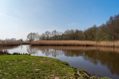 Nehir Lesum üzerinde Bremen Knoops Park üzerinden bir fotoğraf safari